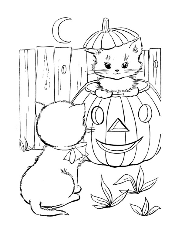 coloriage chaton dans citrouille d halloween